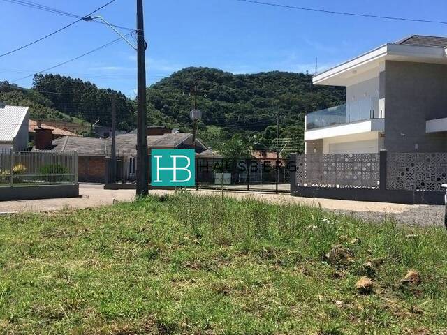 Terreno para Venda em Morro Reuter - 4