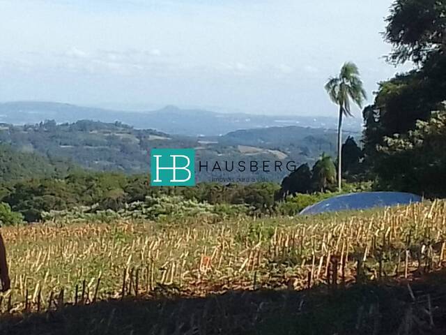 Venda em São José do Herval - Morro Reuter