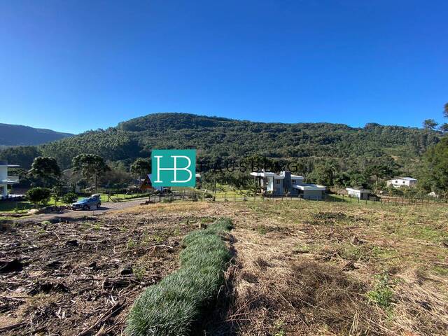 #604 - Terreno para Venda em Santa Maria do Herval - RS - 1